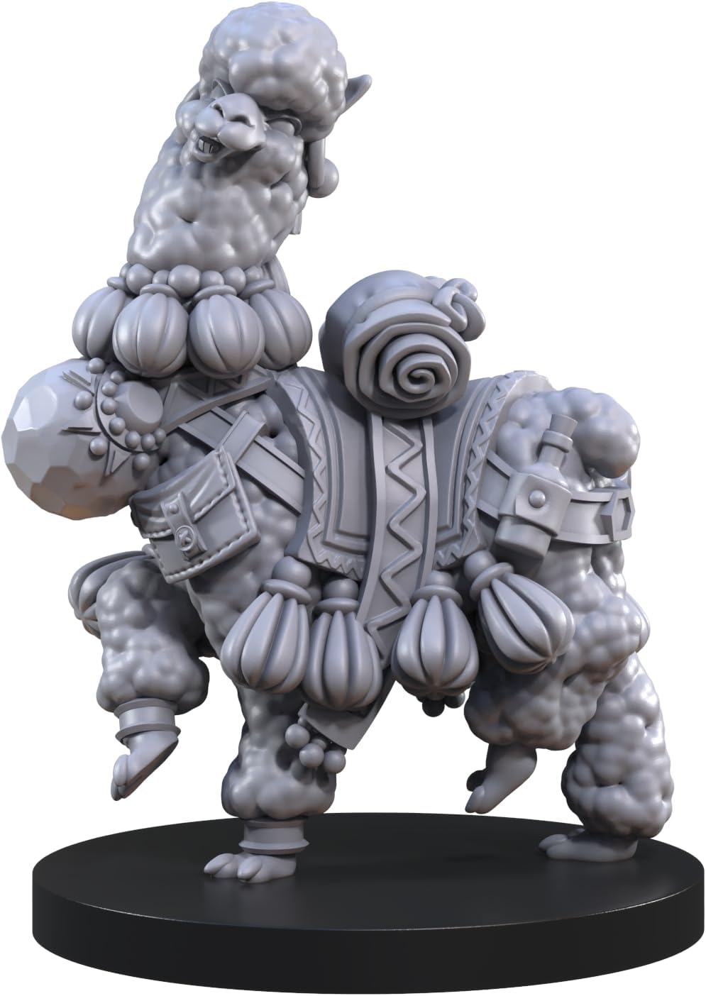 Animal Adventures: Animals of the Faraway Sea