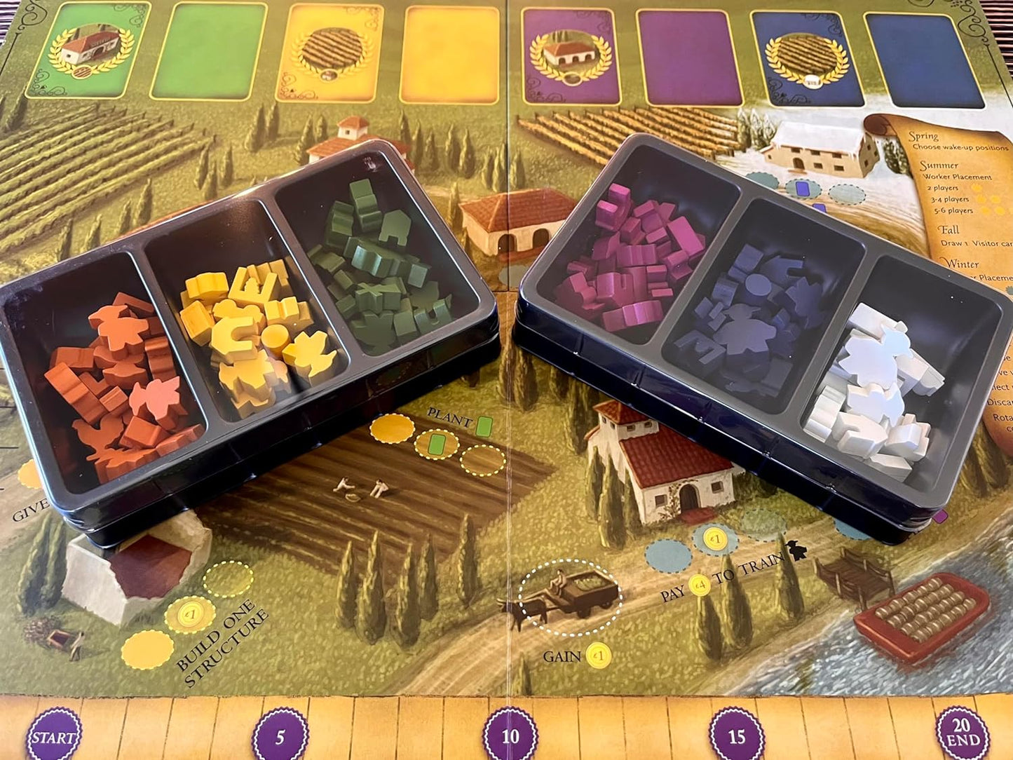 Viticulture: Essential Edition