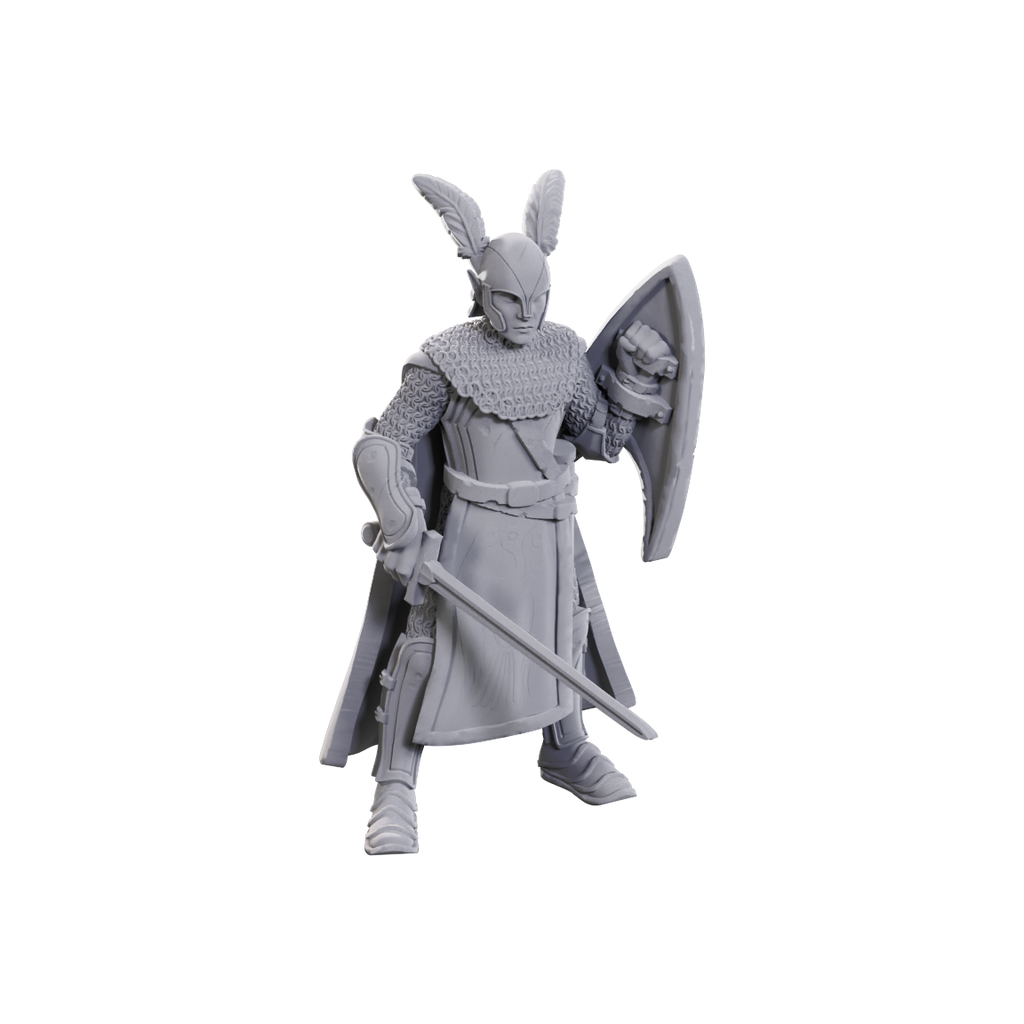 Dungeons and Dragons: Nolzur's Marvelous Miniatures: 50th Anniversary Limited Edition: Elves
