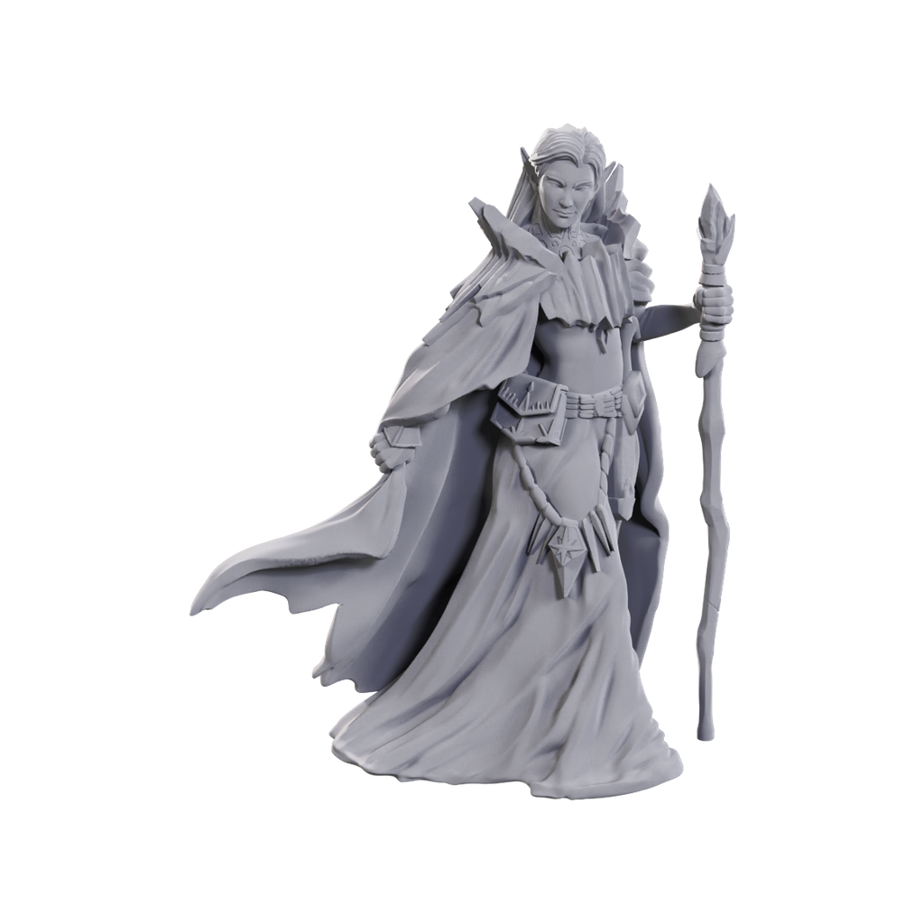 Dungeons and Dragons: Nolzur's Marvelous Miniatures: 50th Anniversary Limited Edition: Elves
