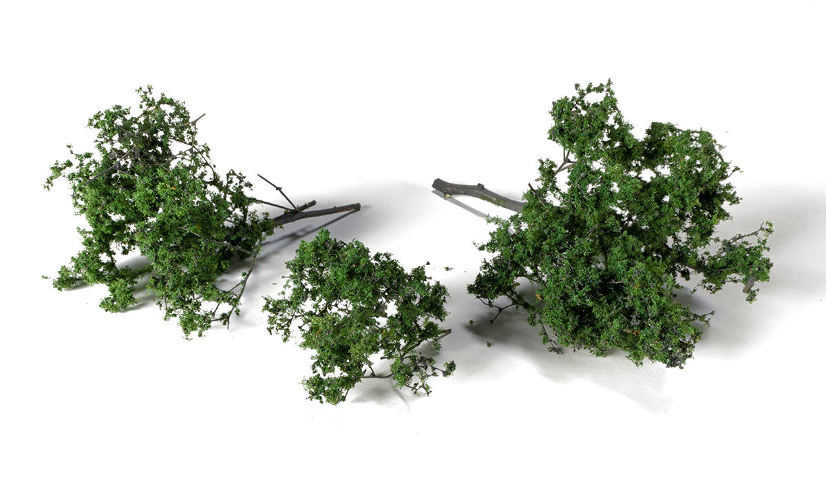 AGT Spring Brambles