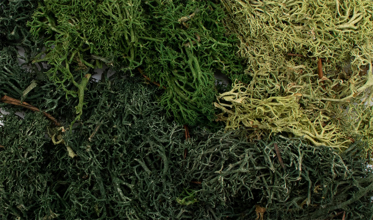 All Game Terrain Summer Mix EZ Bushes