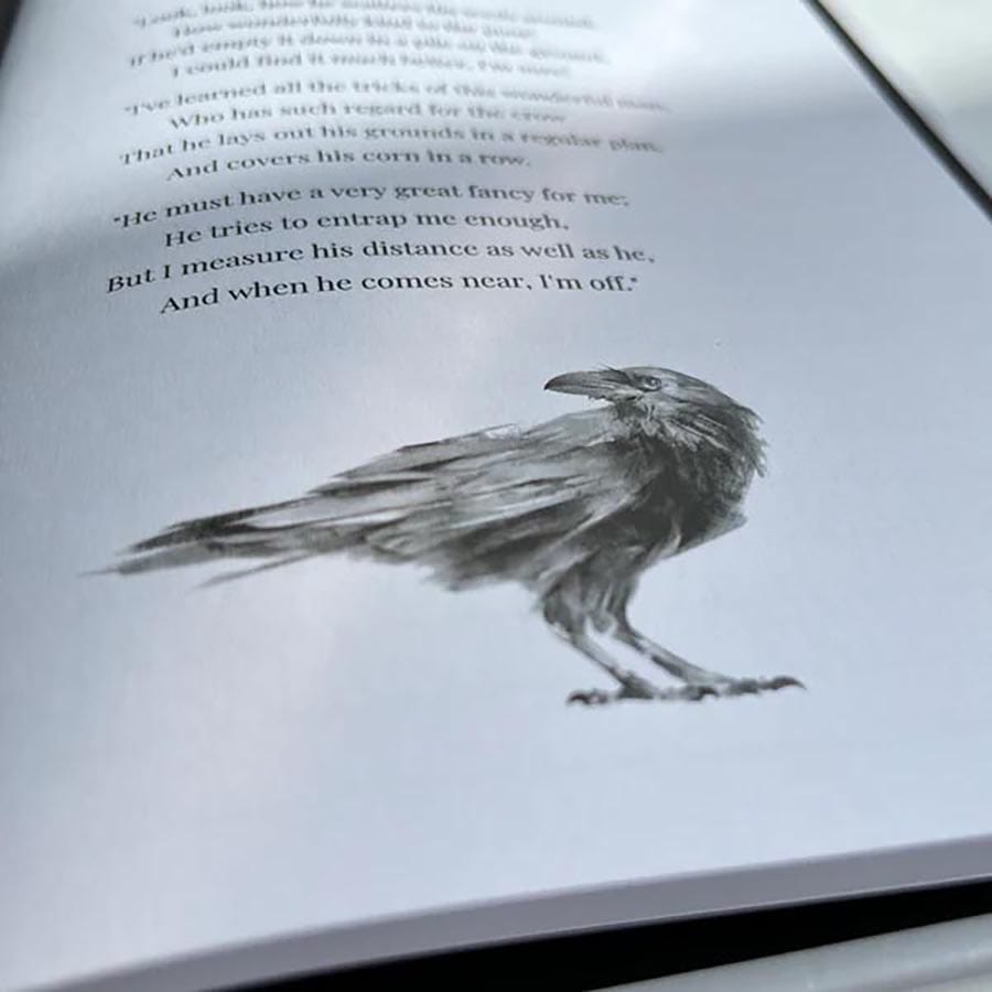 BE LIKE A CROW (RPG) JOURNAL