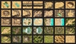 INTO THE WILDS: BATTLEMAP BOOKS: DESERTS AND JUNGLES