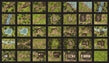 INTO THE WILDS: BATTLEMAP BOOKS: FORESTS AND VILLAGES