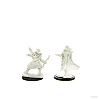PF Mini M Elf Sorcerer-: 2 minis