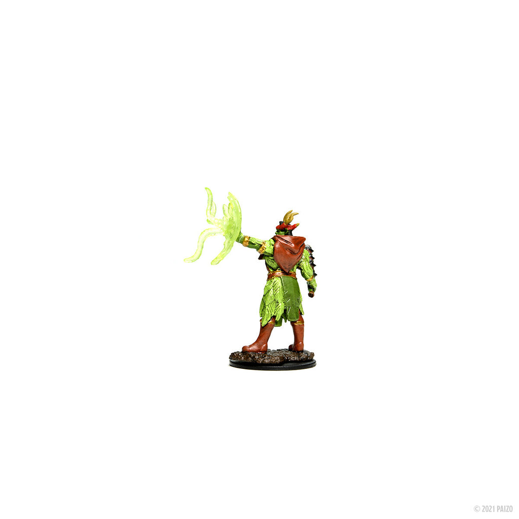 PATHFINDER: MALE HALF-ORC DRUID PREMIUM PAINTED MINIATURE