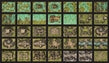 INTO THE WILDS: BATTLEMAP BOOKS: SWAMPS AND RUINS