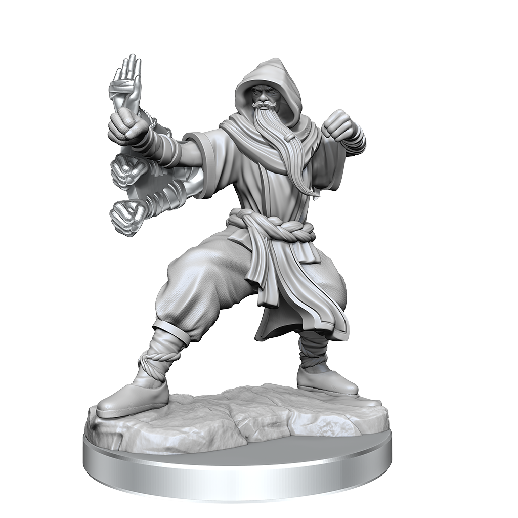 D&D: Frameworks: Male Human Monk - Miniature