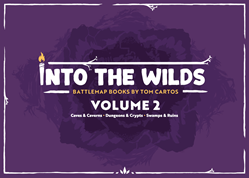 INTO THE WILDS: BATTLEMAP BOOKS (VOLUME 2)