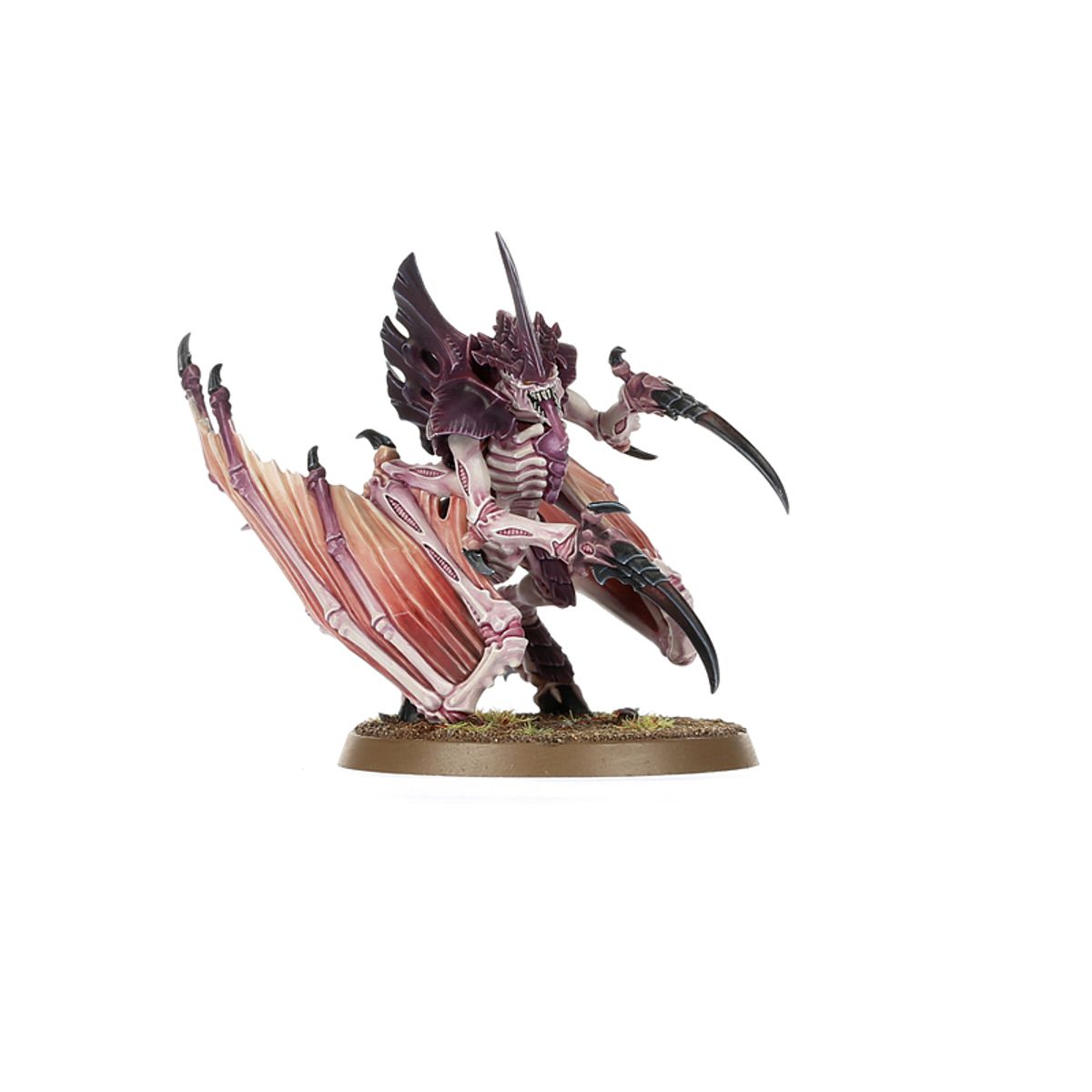 Warhammer 40,000: Tyranid Assault Brood: Combat Patrol