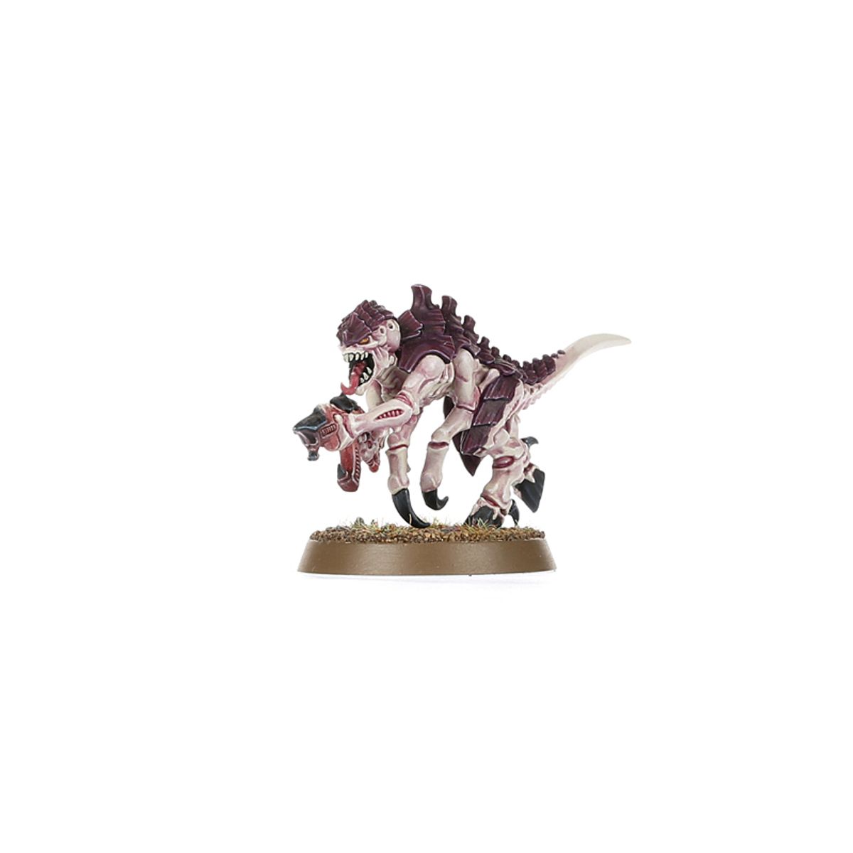 Warhammer 40,000: Tyranid Assault Brood: Combat Patrol