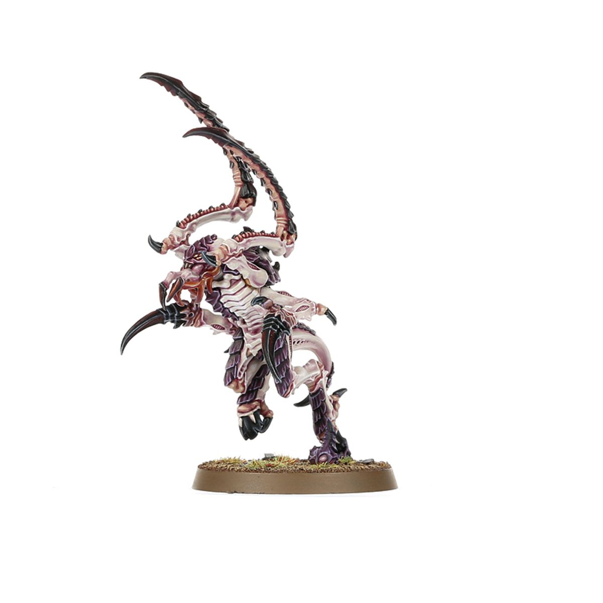 Warhammer 40,000: Tyranid Assault Brood: Combat Patrol