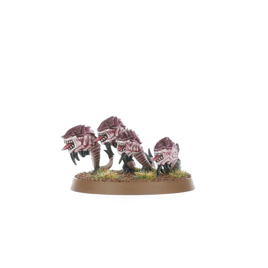 Warhammer 40,000: Tyranids: Hormagaunts