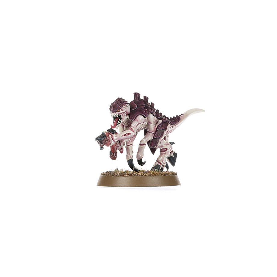 Warhammer 40,000: Introductory Set