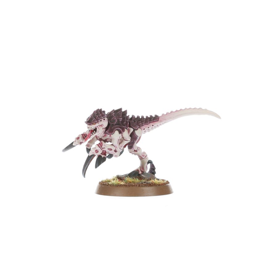 Warhammer 40,000: Tyranids: Hormagaunts