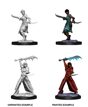 DUNGEONS AND DRAGONS: NOLZUR'S MARVELOUS UNPAINTED MINIATURES -W10-FEMALE HUMAN ROGUE
