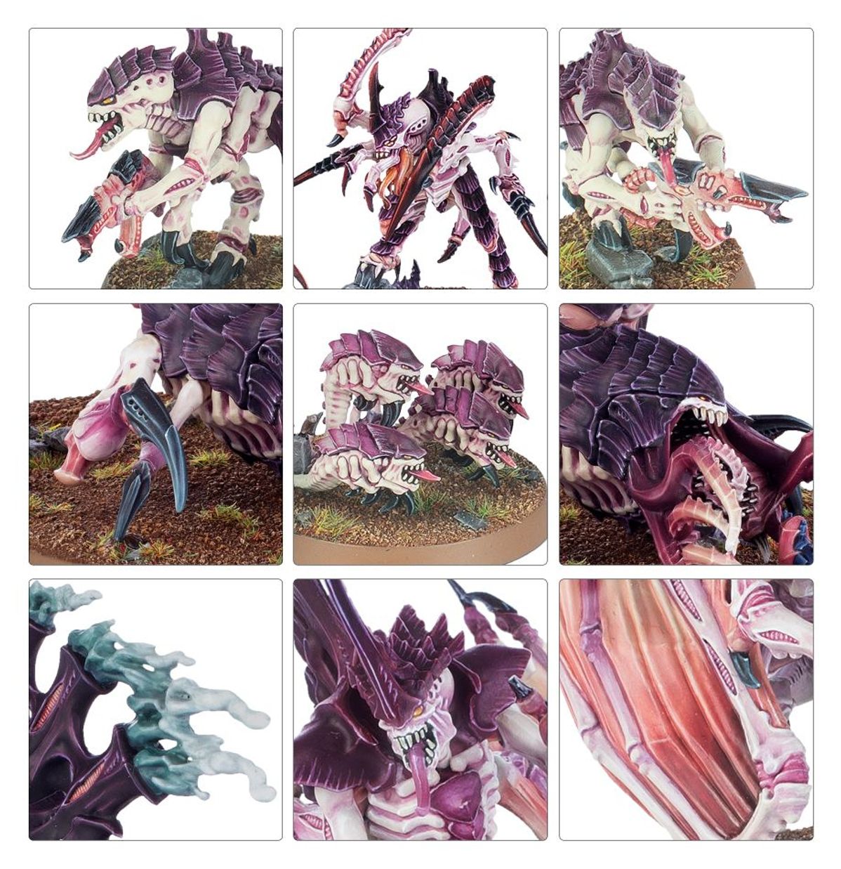 Warhammer 40,000: Tyranid Assault Brood: Combat Patrol