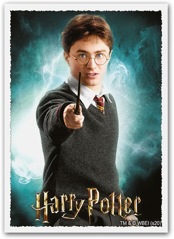 Dragon Shield: Art Sleeves: Harry Potter 100ct