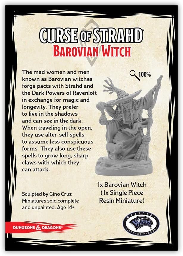D&D: CS: Barovian Witch - Miniature