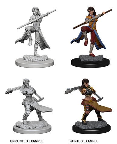 Dungeons And Dragons: Nolzur's Marvelous Unpainted Miniature - W1-Female