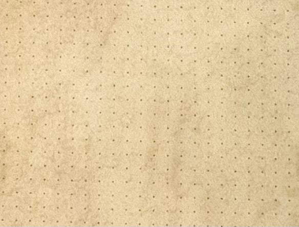 Dotted Red Journal w/ Black Compass Foil by Hexed®