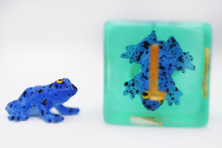 Dark Blue Frog RPG Dice Set
