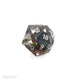 Sirius Dice: Teenage Mutant Ninja Turtles (TMNT) 55mm Spindown D20