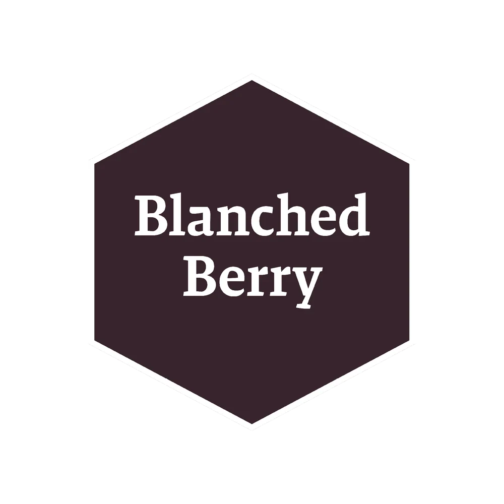 Masterclass Paints: Army Painter: Fanatic: John Blanche: Blanched Berry