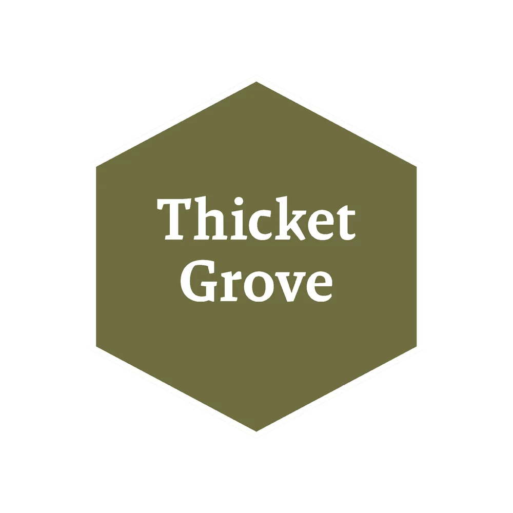 Masterclass Paints: Army Painter: Fanatic: John Blanch: Thicket Grove