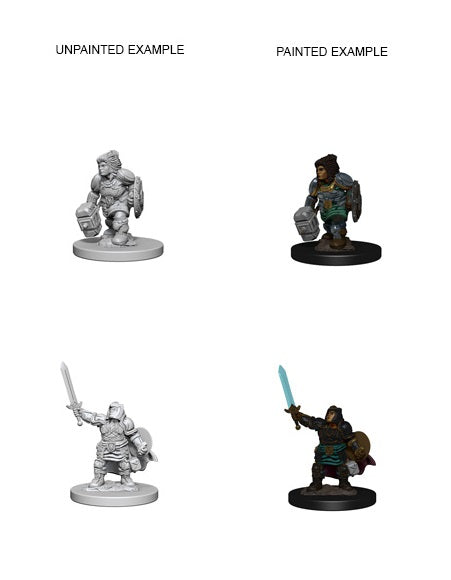 D&D Dwarf Female Paladin