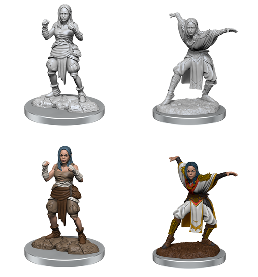 Pathfinder: Deepcuts - Female Half-Elf Monk Miniature