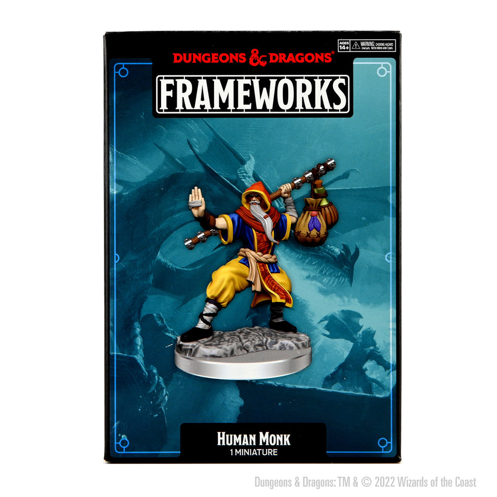 D&D: Frameworks: Male Human Monk - Miniature