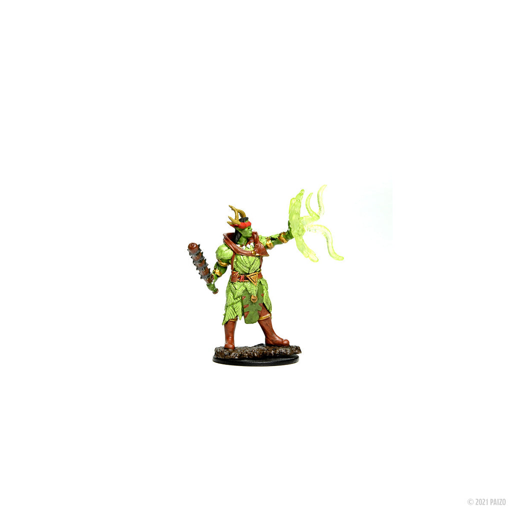 PATHFINDER: MALE HALF-ORC DRUID PREMIUM PAINTED MINIATURE