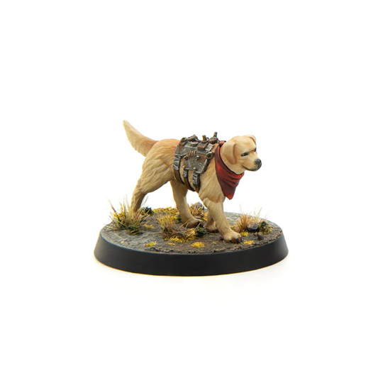 Fallout Wasteland Warfare: Wasteland Survivors Core Set