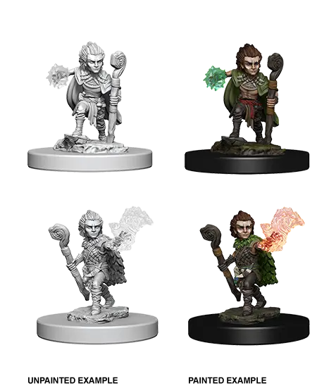 PATHFINDER: DEEP CUTS UNPAINTED MINIATURES -W5-MALE GNOME DRUID