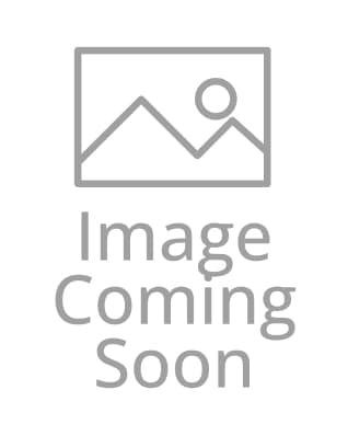 Sirius Dice: Avatar: The Last Airbender 55mm Spindown D20