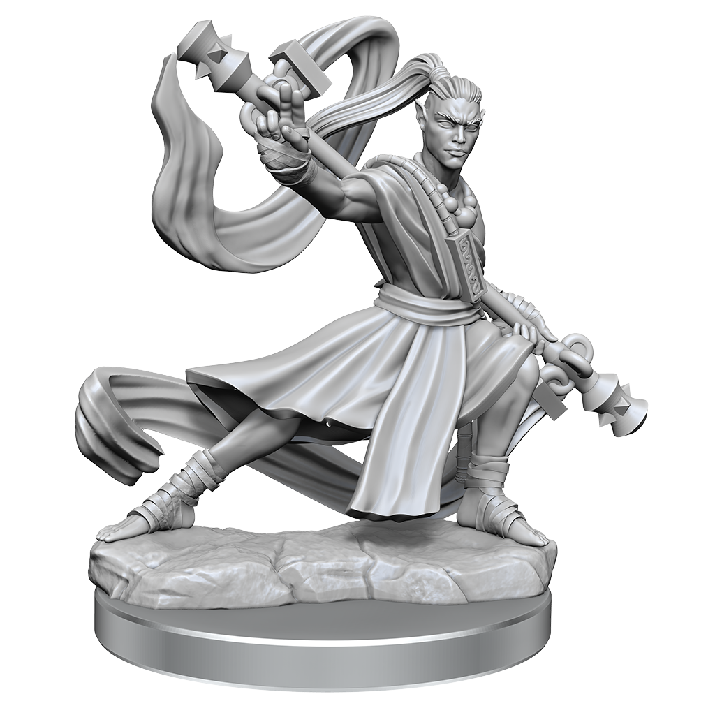 D&D: Frameworks: Male Elf Monk - Miniature