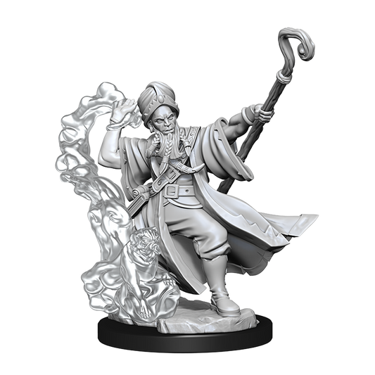 D&D Frameworks: Human Wizard Male - Unpainted and Unassembled